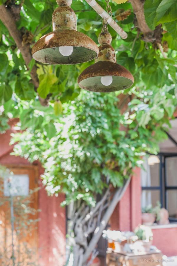 Zacharoulas Katikies アマリントス エクステリア 写真